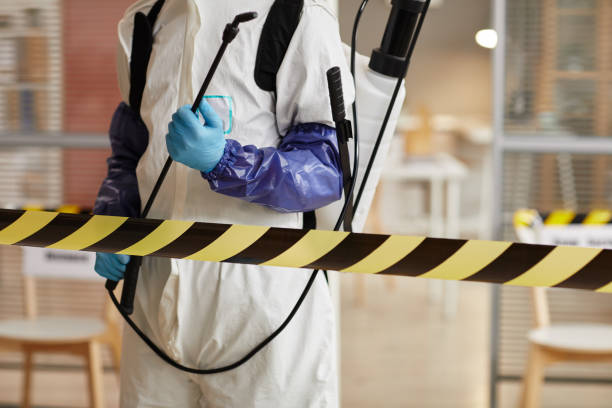 Professional Sewage Cleanup technician working in Valders, WI